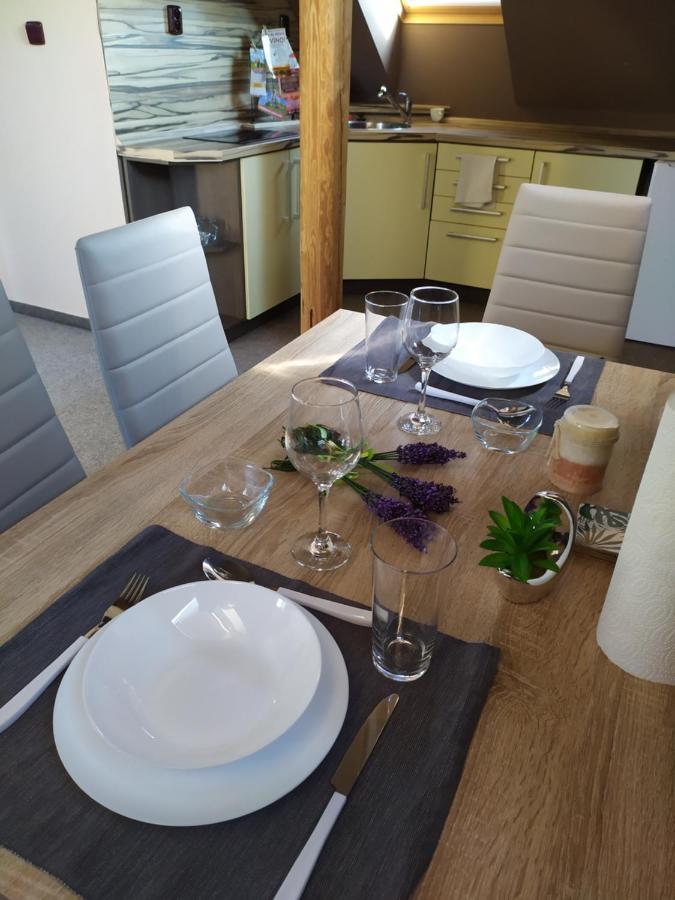 Podkrovni Apartman V Prirode, Vhodny K Relaxaci I Na Sluzebni Cesty Apartment Cerna u Bohdance Ngoại thất bức ảnh
