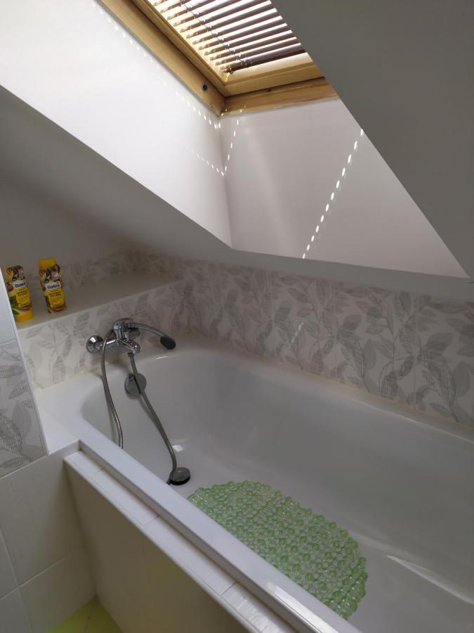 Podkrovni Apartman V Prirode, Vhodny K Relaxaci I Na Sluzebni Cesty Apartment Cerna u Bohdance Ngoại thất bức ảnh