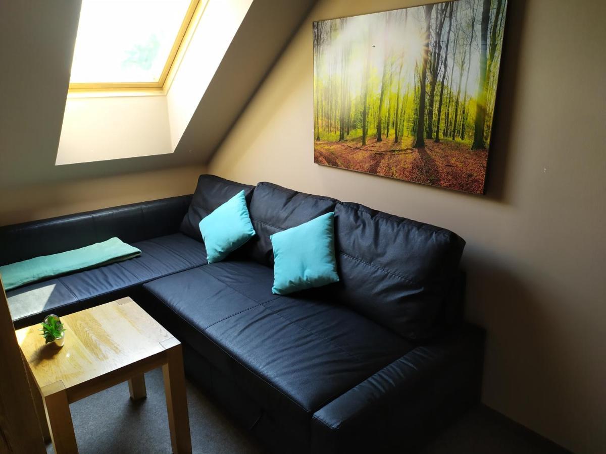 Podkrovni Apartman V Prirode, Vhodny K Relaxaci I Na Sluzebni Cesty Apartment Cerna u Bohdance Ngoại thất bức ảnh