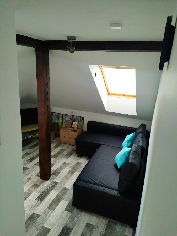 Podkrovni Apartman V Prirode, Vhodny K Relaxaci I Na Sluzebni Cesty Apartment Cerna u Bohdance Ngoại thất bức ảnh