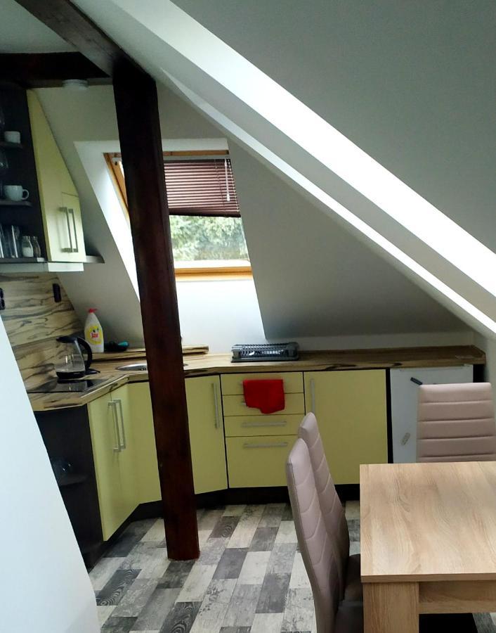 Podkrovni Apartman V Prirode, Vhodny K Relaxaci I Na Sluzebni Cesty Apartment Cerna u Bohdance Ngoại thất bức ảnh